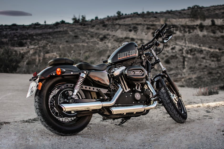 2008 Harley Davidson Nightster with a black and silver design against a scenic backdrop