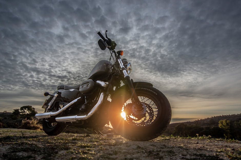 2008 Harley Davidson Nightster motorcycle